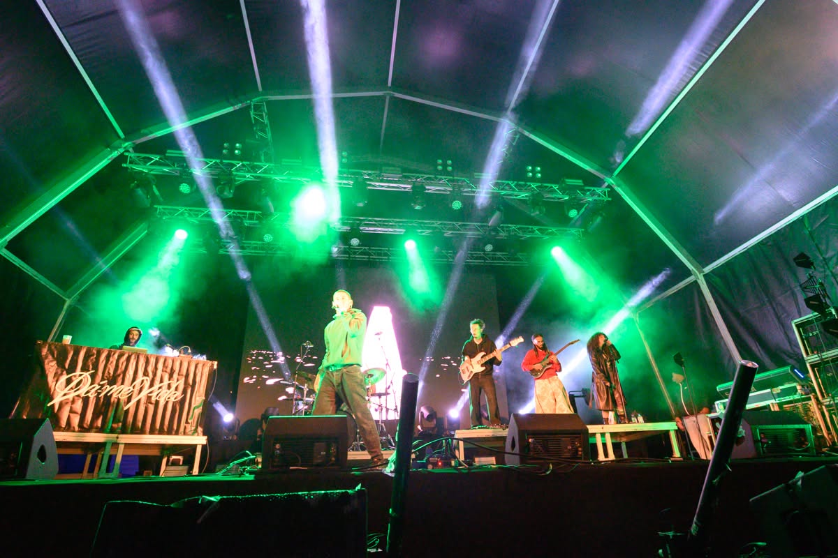 Concerto ao vivo com iluminação verde